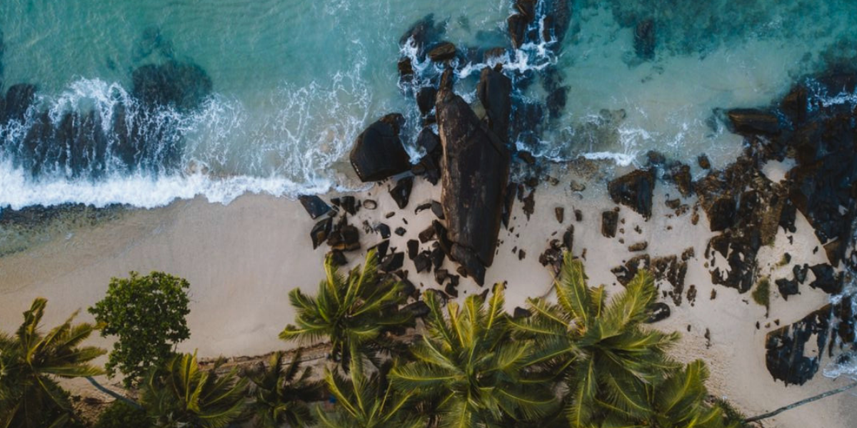 Aerial of palm-fringed beach with rock formations, Ahangama Sri Lanka